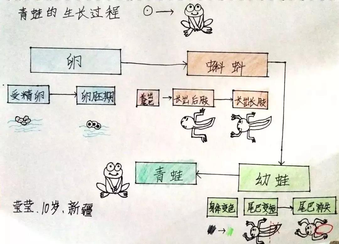 世界上被证明最有效率的四个学习方法