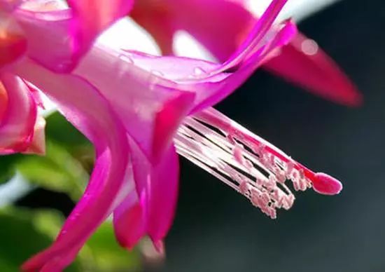 任意花官网 6b7a5d8562a948e28c1c7b96991280f7.jpeg