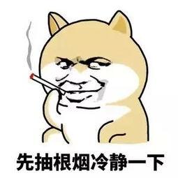 啥意思没听懂 6d55b27b76ff40af81c6cddc4655ec84.jpeg