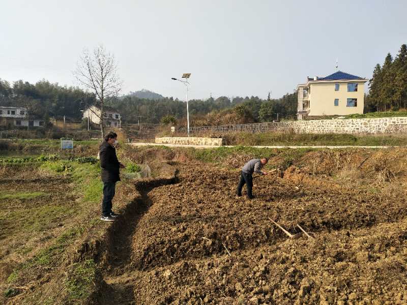 无锡杨市镇有多少人口_无锡人口分布图(2)