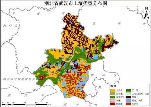 1995年山东各市经济总量_山东地图全图各市各县(3)