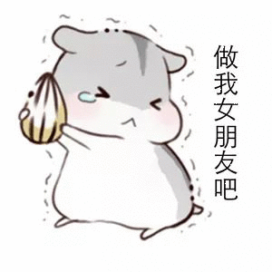 表白全套表情包:千万不要跟我客气,早晚都是一个户口本的人