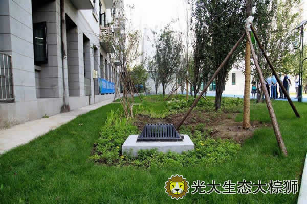 海绵城市理念在绿化工程的运用