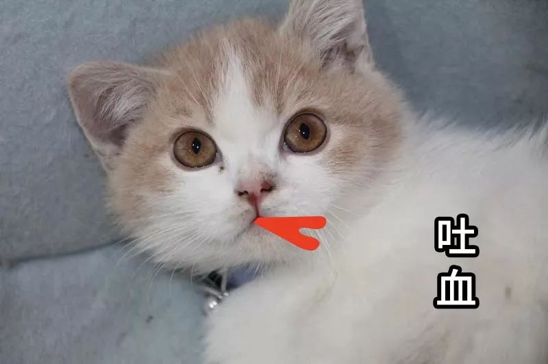 十万火急！楼市连爆新政 支撑力度空前 为保这