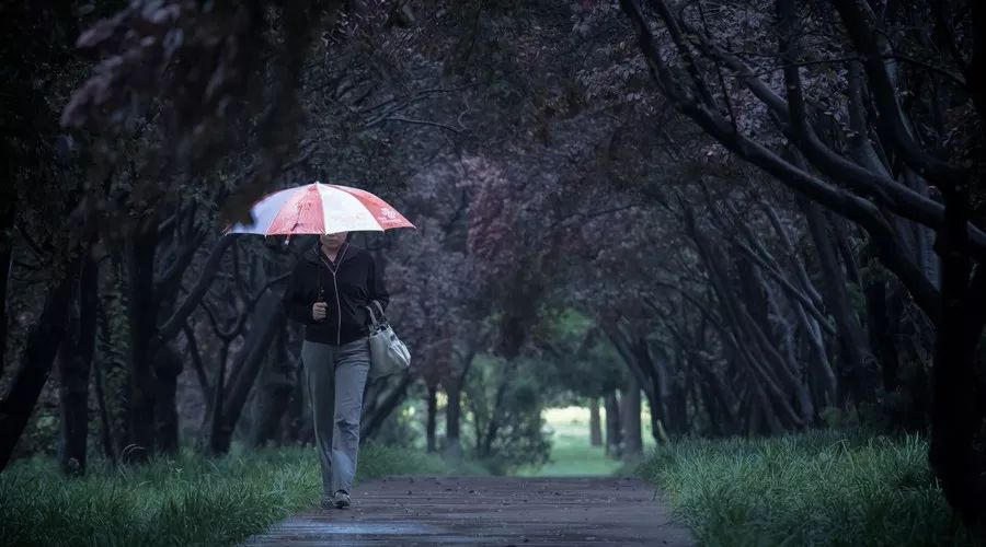雨落车站，梦境中的生死轮回——解析梦见大人与小孩在雨中死亡又复活的深层含义