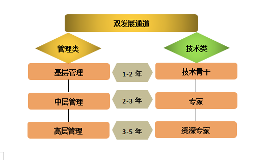 双胞胎集团招聘_双胞胎集团2022全球校园招聘直播正式拉开序幕