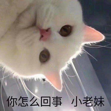 斗图表情包合集|多喝热水_wink
