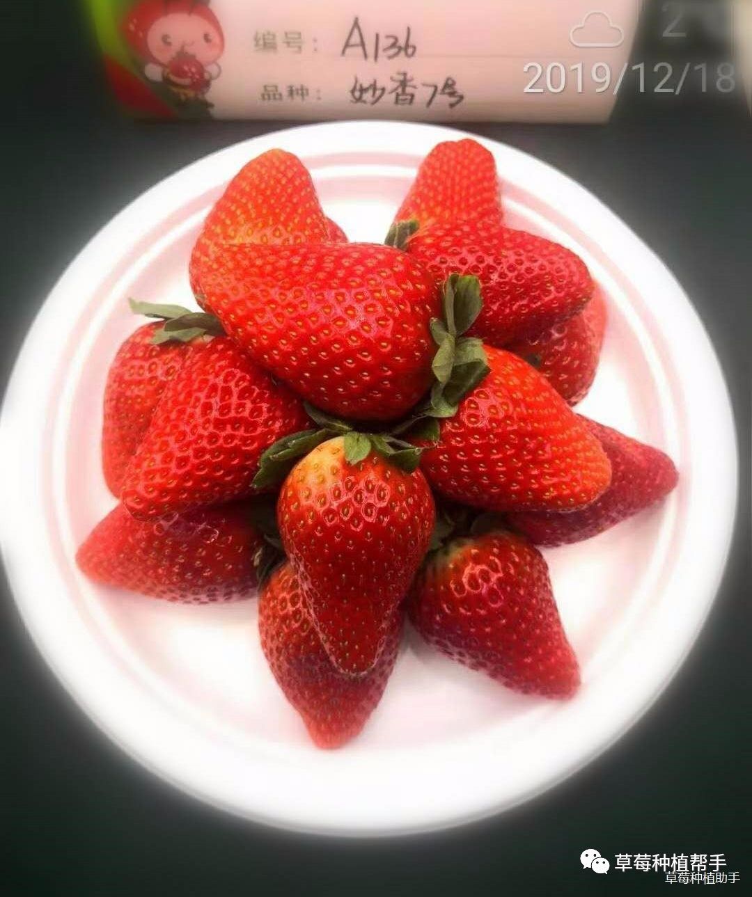 草莓的功效与作用 而且含有大量的维生素和膳食纤维 - 学堂在线健康网