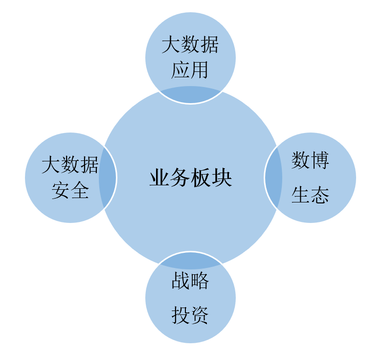 政府大数据平台公司的业务战略和发展模式建议