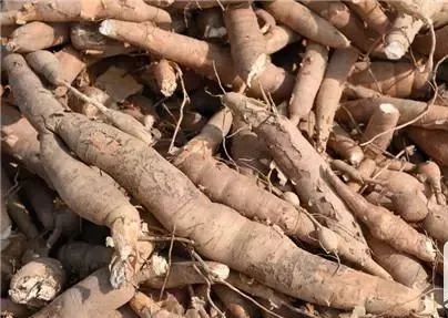 婴儿几个月能吃山药 d00989fb2e884bb09c693411ce34cabb.jpeg