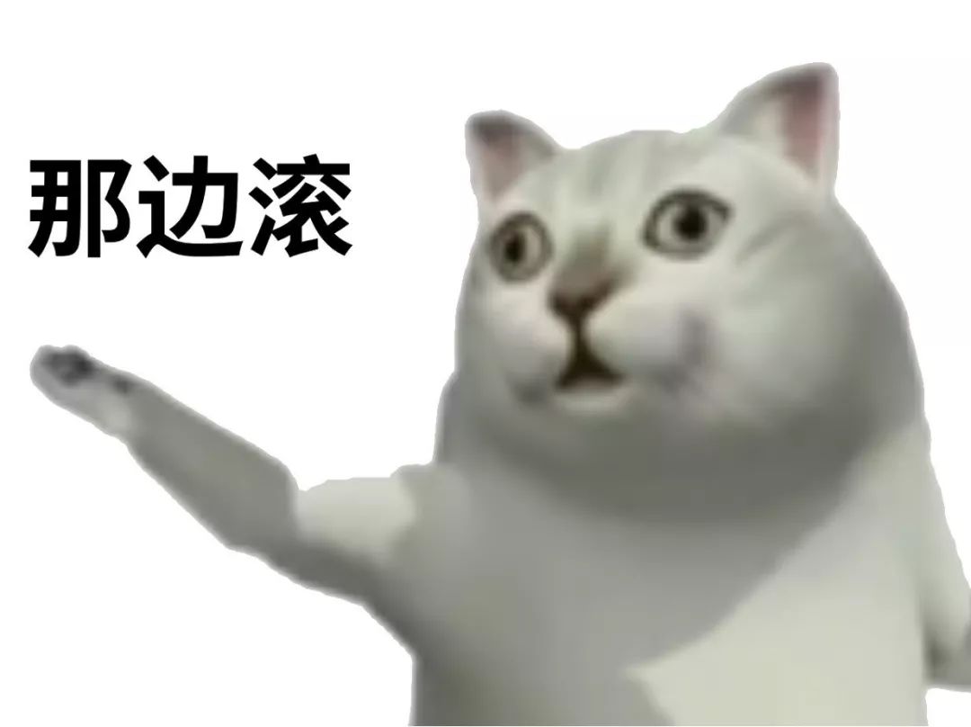 憨憨猫mur猫表情包