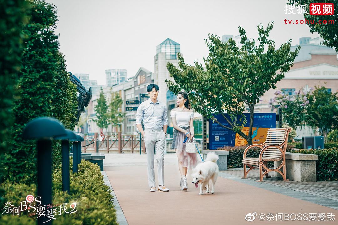 国产剧刮起甜宠热 观众为何对撒糖百看不腻？