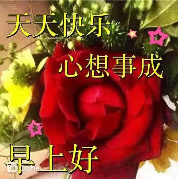 早上好祝福美图早上好感悟句子