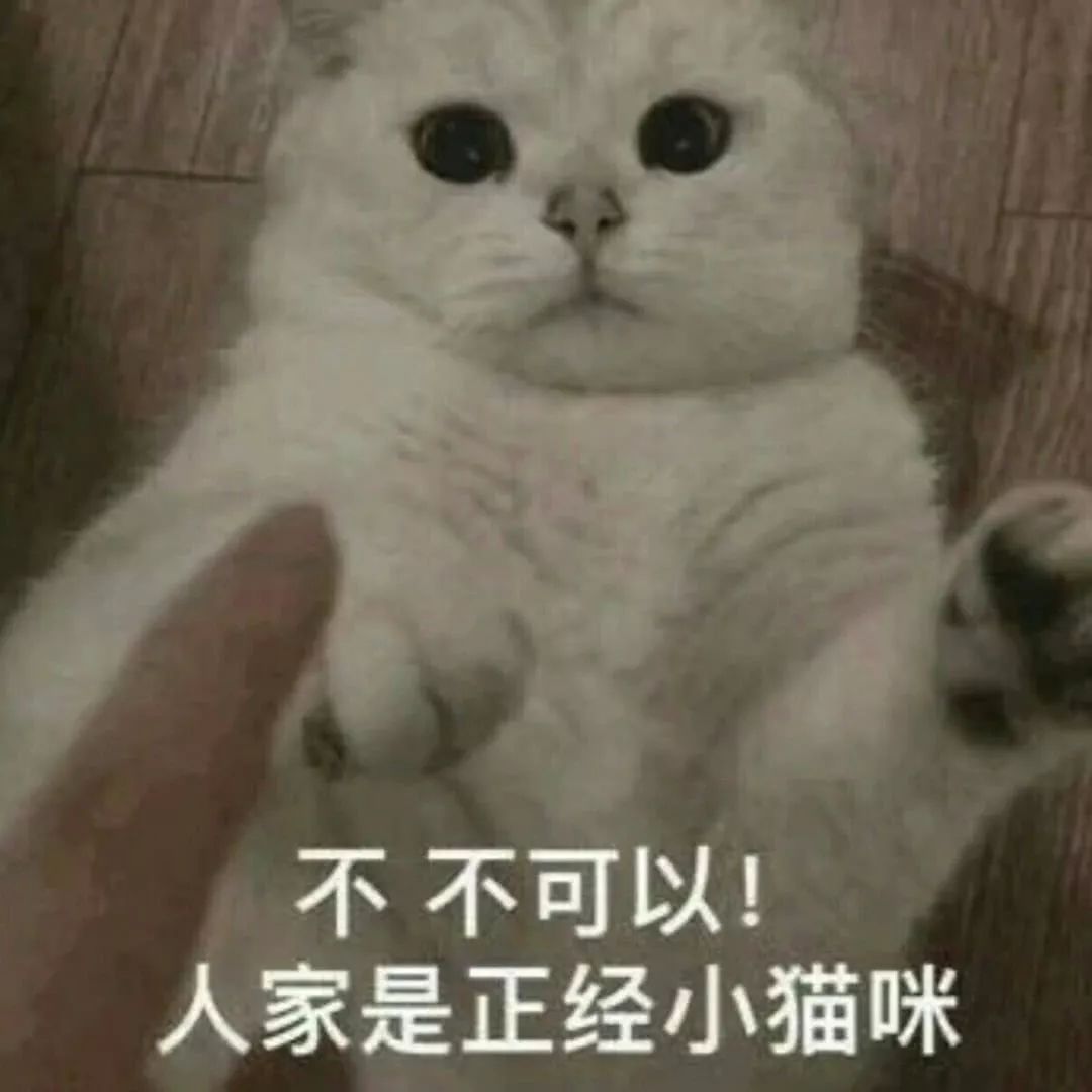 efe1a62b8d314313b98a067b217c359d.jpeg