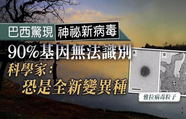 15名首批确诊者48小时暴病身亡!一场未知的灾难正在非洲蔓延