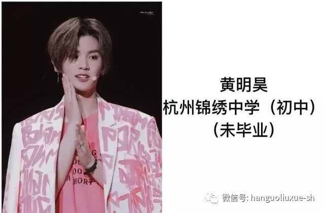 中国明星学历排行_中国娱乐圈中的十大高学历明星排名榜单揭晓!胡歌排名榜首!