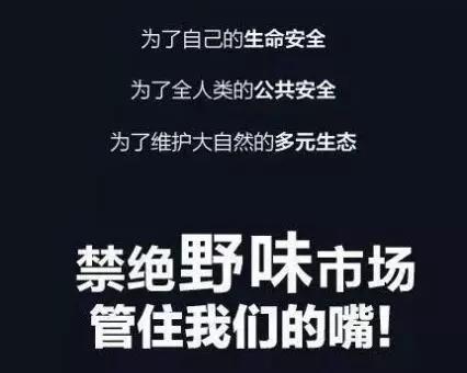 食用|人类不能吃的十大野味排行，蝙蝠第一，最后一个不少人吃过！