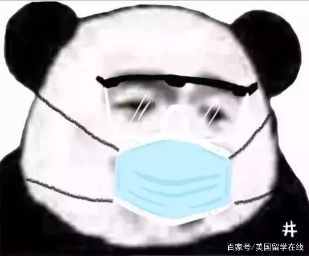 美国夫人口罩_美国第一夫人