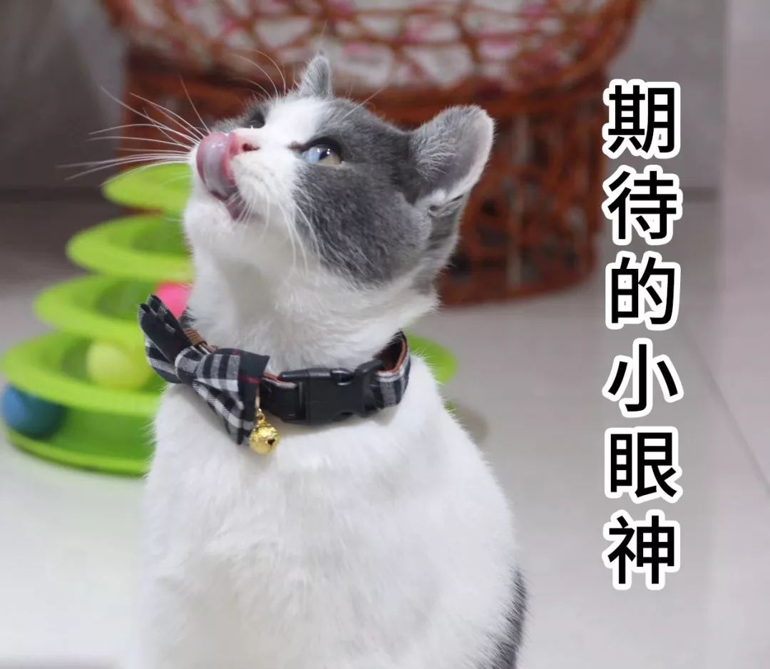 十万火急！楼市连爆新政 支撑力度空前 为保这