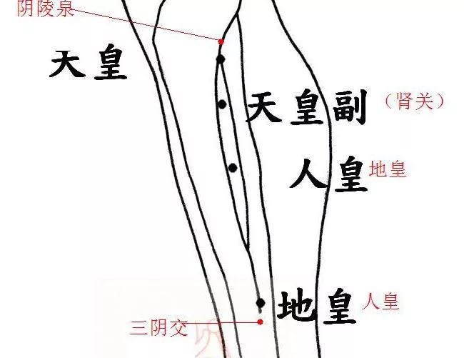 董氏奇穴10大穴位解析治疗效果看得见