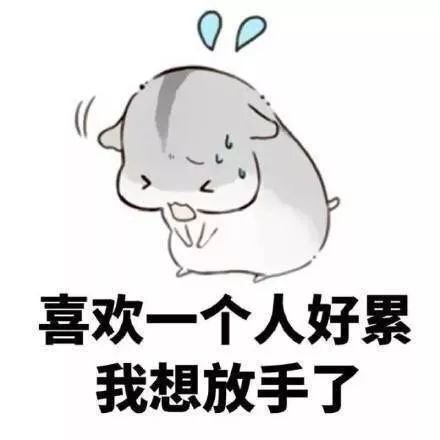 053032d53c3a41409f3feedd3a5cacce.jpeg