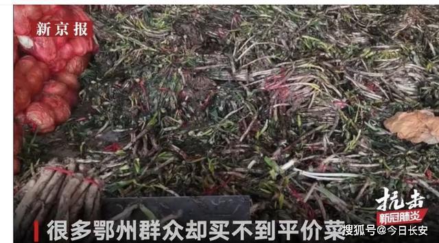 爱心被浪费？网帖爆料：贵州捐赠蔬菜烂在仓库？