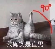 0d812014e22a46b78d62085da3952ec9.jpeg