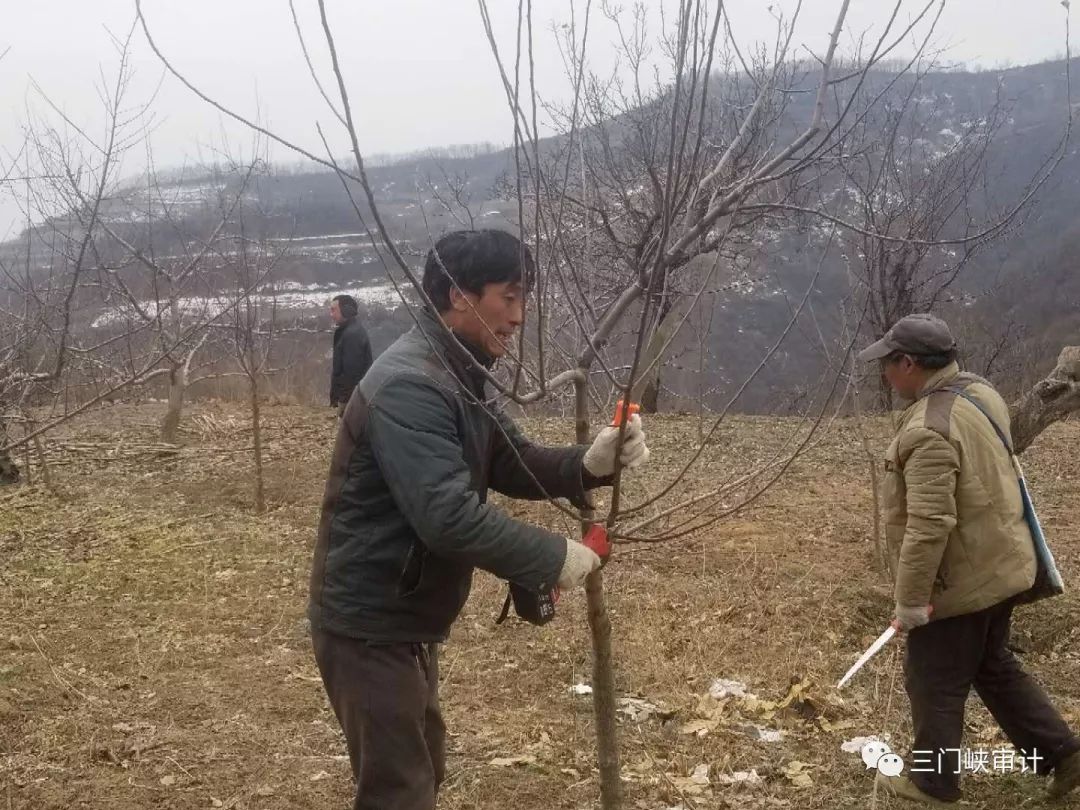 寺河乡人口_寺河乡实验学校图片