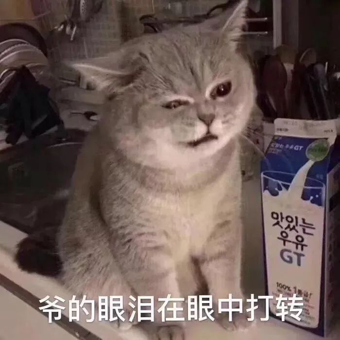 18d4f2d220dc4fd899c0eabc9fc7bb6b.jpeg