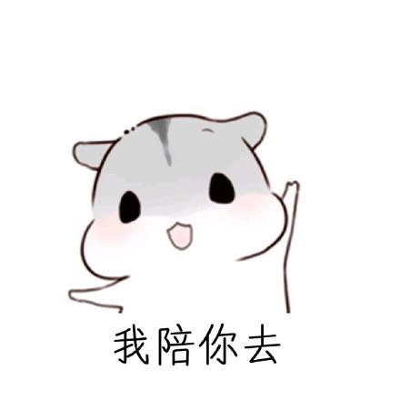可爱小仓鼠表情包大合集:怎么还没有老公消息,手机是不是坏掉了