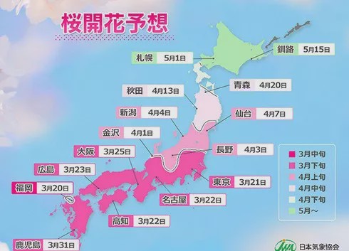 日本樱花开放时间预测,疫情过后可以去看一看!