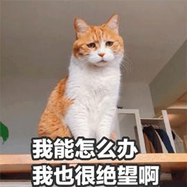 270e4fcbf1484a7eab755669b8de3d6d.jpeg