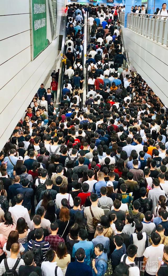 假如重启2020深圳人的一天应该是这样的