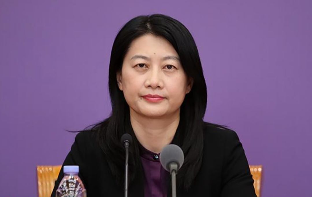 韦洲镇人口_人口普查(3)