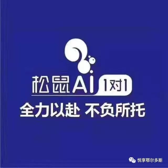 松鼠ai智适应教育旨在实现学生个性化学习,智适应学习系统以