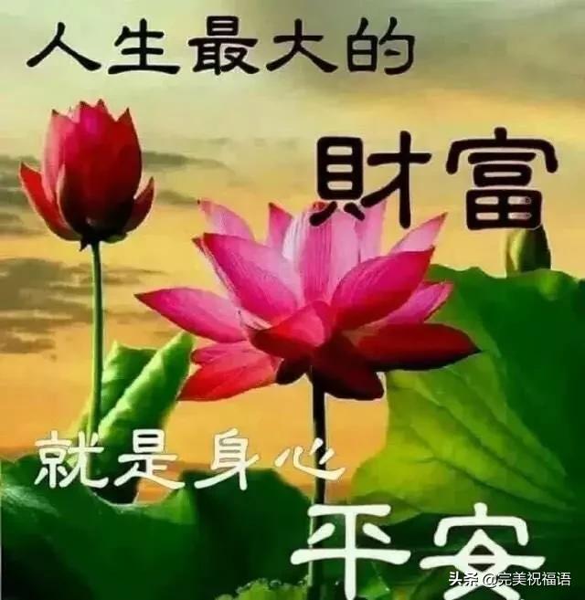 祝愿你今好,明好,天天好;千好万好,健康最好