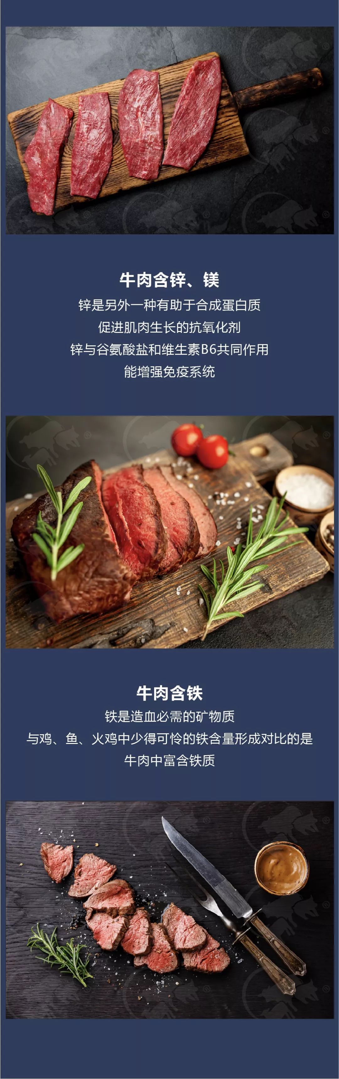 牛肉的这些营养价值 你都知道了吗?