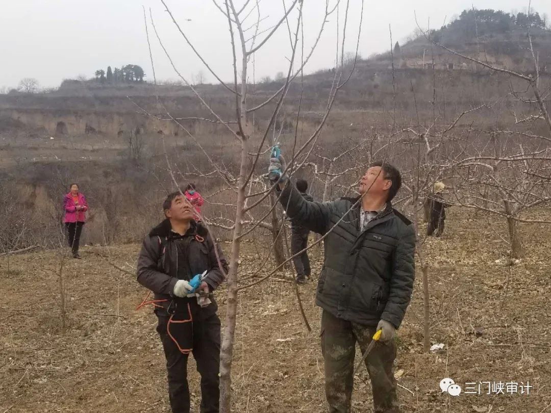 寺河乡人口_寺河乡实验学校图片