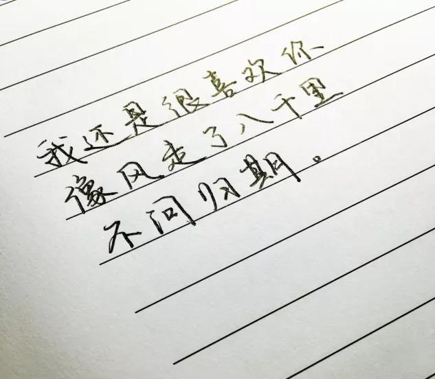 尘埃里花简谱_烟火里的尘埃简谱