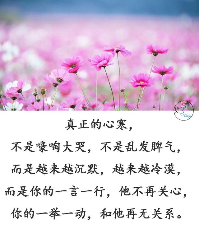6453507a99c945a09a7fbcc6cd3757ef.jpeg