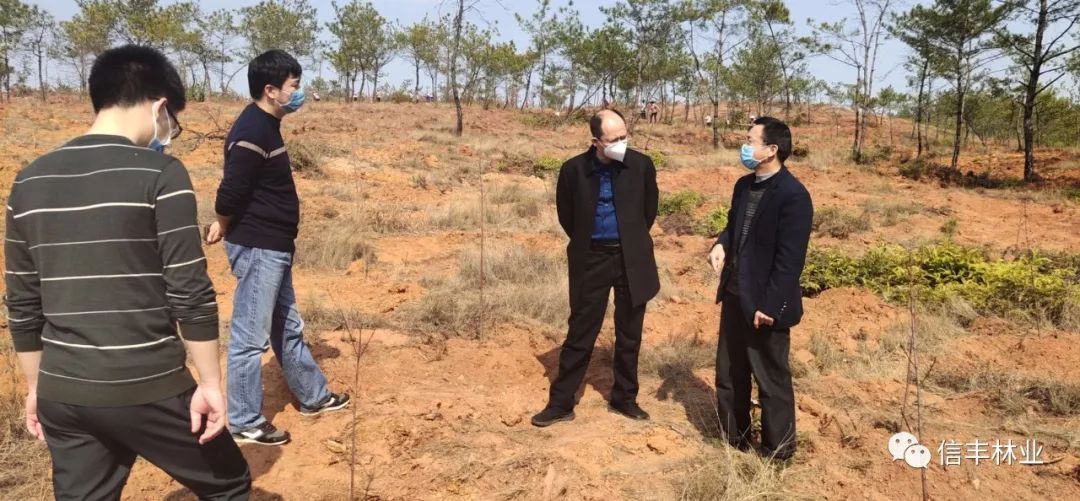 2月21日,赣州市林业局副局长叶日山一行在信丰开展低质低效林春季造林