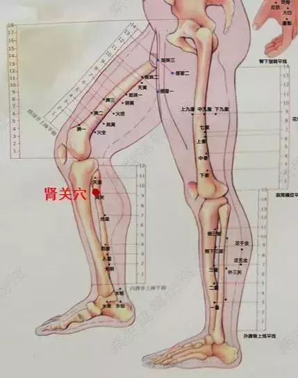 黄石有董氏针灸培训班吗学费多少