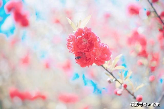 如何拥有好心境 6c5dcf1ee5b0401c99c11b05421e2459.jpeg