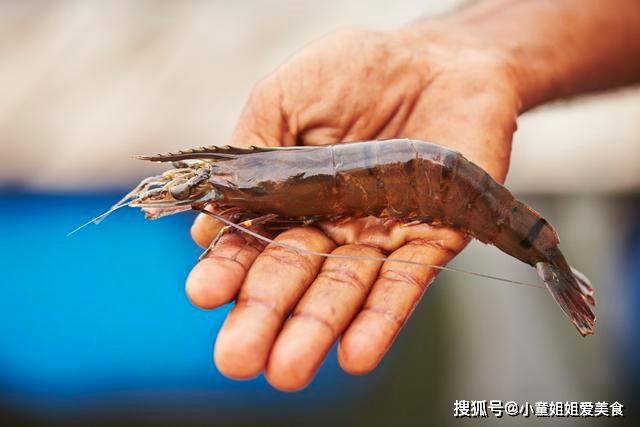 菜市场买虾,如何分辨海虾和养殖虾?老渔民告诉你区别