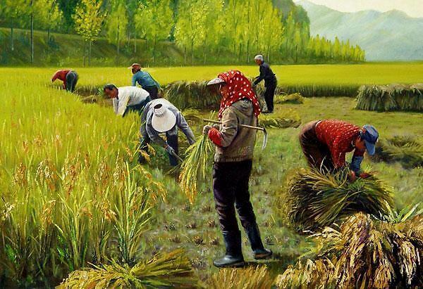 种粮人口_农民种粮(3)
