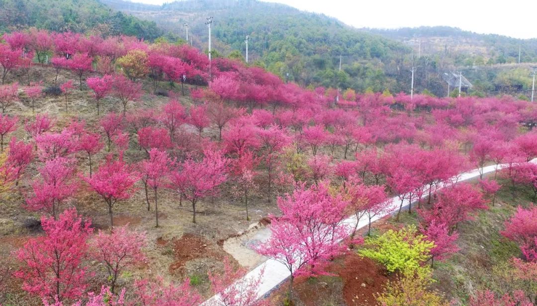 桂阳,春暖花开!