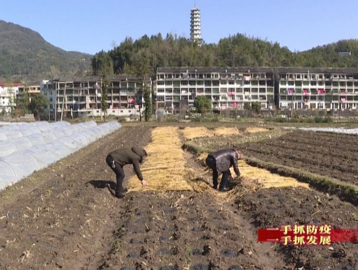 华寮村人口_揭西县凤江镇林厝寮村(2)