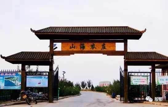 疫情过后一起来山海农场赏花吧