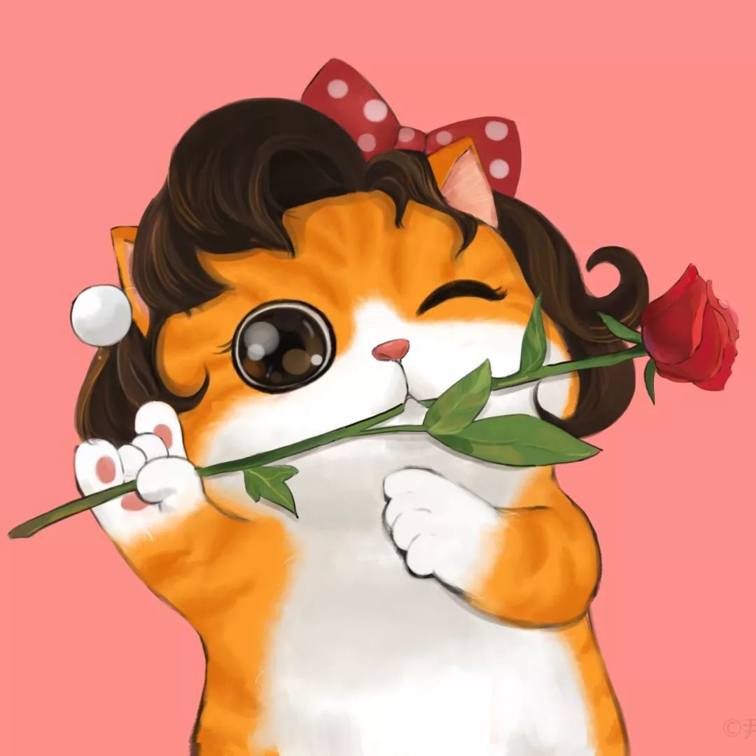 超级好玩儿的歪理猫头像都在这里了
