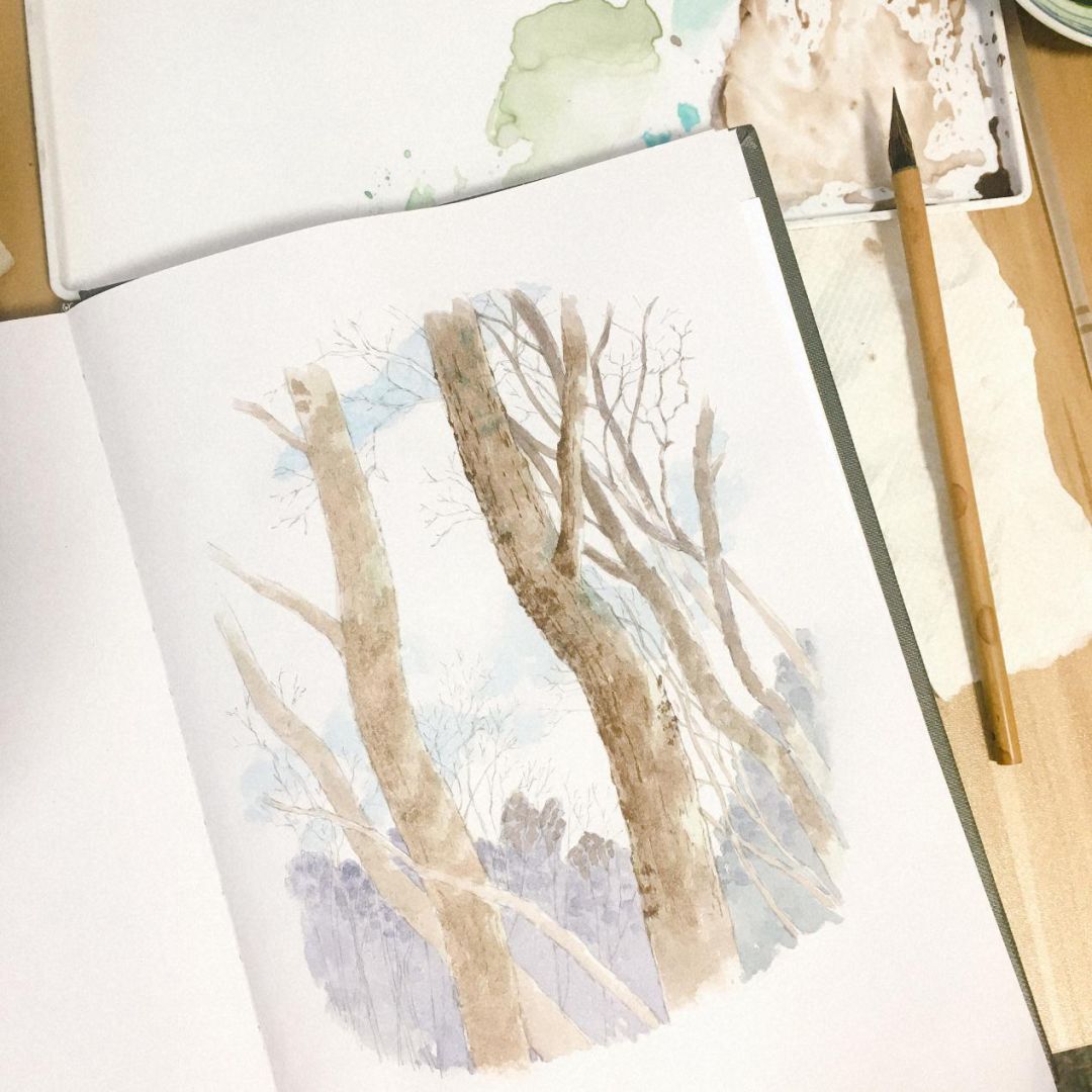 手绘水彩春季树林插图图片素材-编号24416253-图行天下